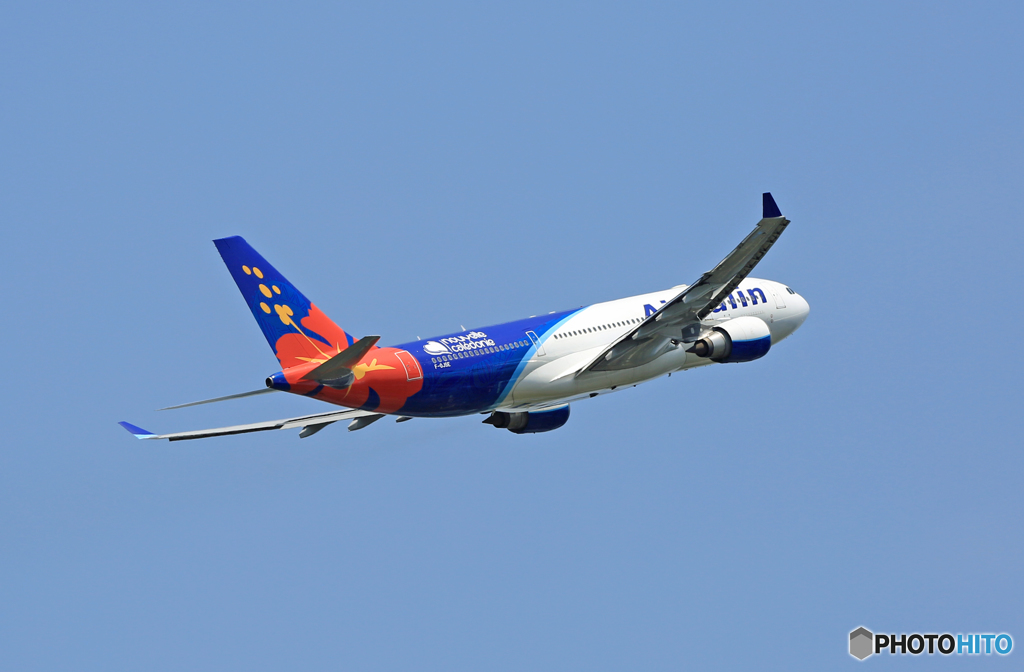 AIR CALIN A330-202 F-OJSE 飛行 