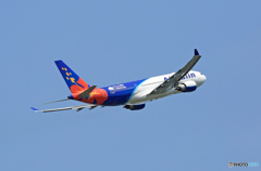 AIR CALIN A330-202 F-OJSE 飛行 