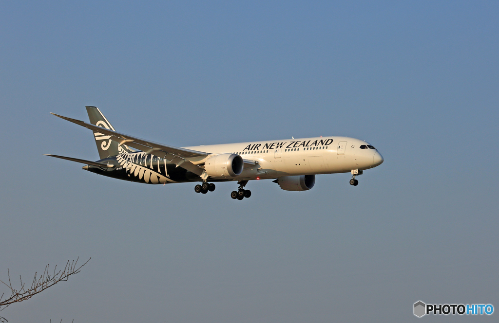 「良い天気」Air NZ' B787-9 ZK-NZC Landing