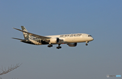 「良い天気」Air NZ' B787-9 ZK-NZC Landing 「良い天気」Air NZ' B787-9 ZK-NZC Landing