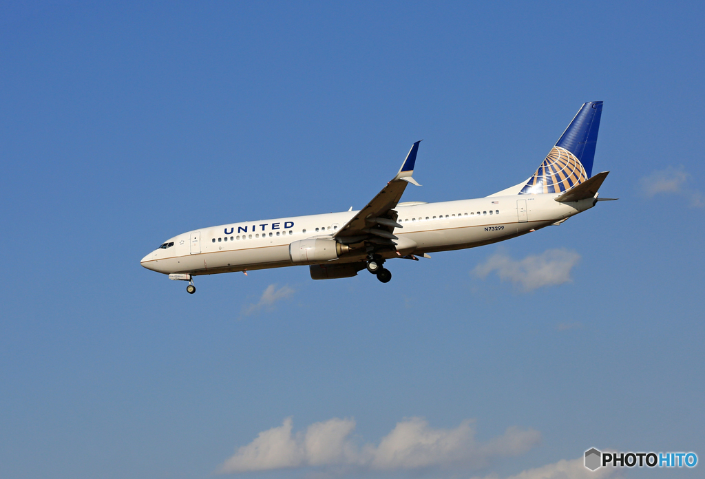 「SKY」 UNITED 737-800 ｼﾐﾀｰ N73299 着陸
