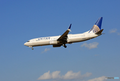 「SKY」 UNITED 737-800 シミター N73299 着陸 「SKY」 UNITED 737-800 シミター N73299 着陸