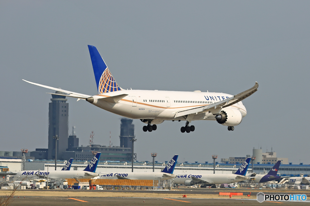 「SKY」 UNITED 787-8 N20904 着地前