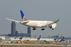 「SKY」 UNITED 787-8 N20904 着地前