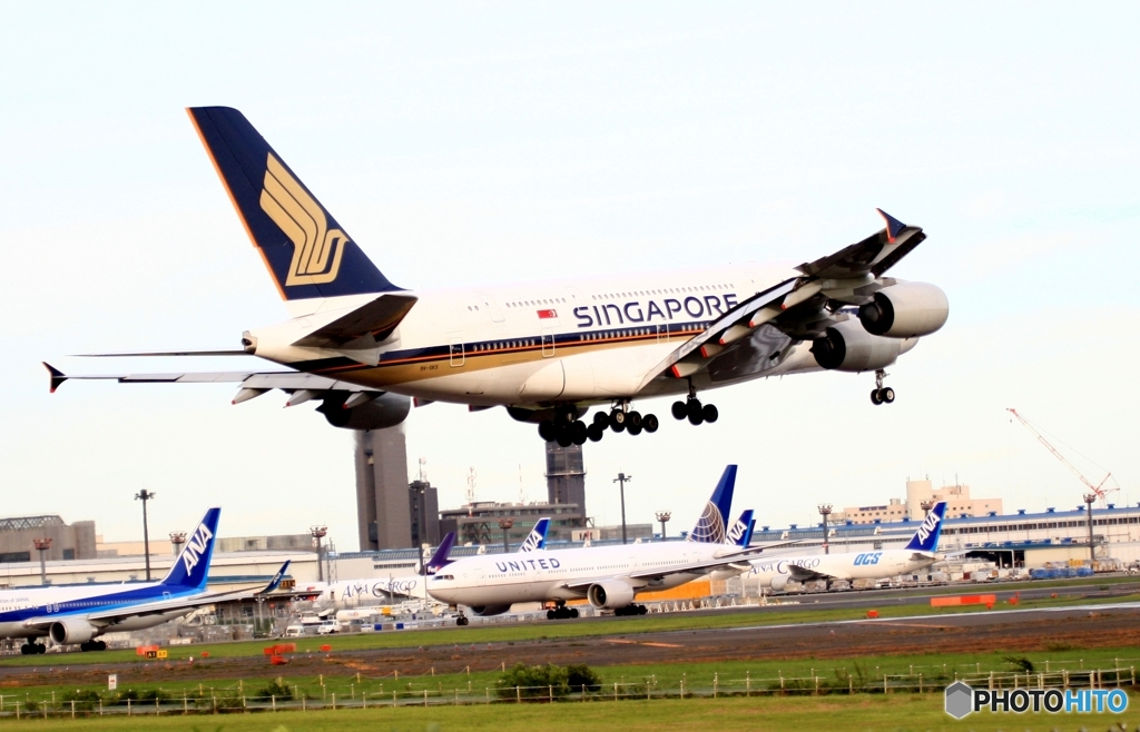 到着　SINGAPORE A380-841