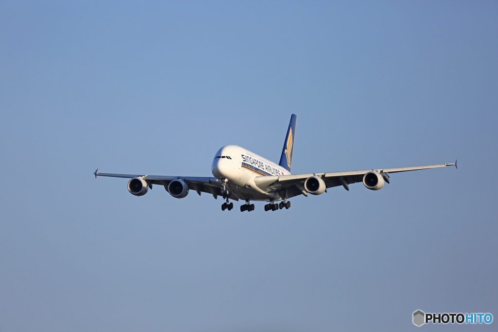 到着 Singapore A380-841 9V-SKT