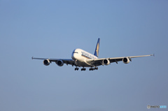 到着 Singapore A380-841 9V-SKT