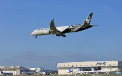 Landing Air New Zealand B787-9 ZK-NZD