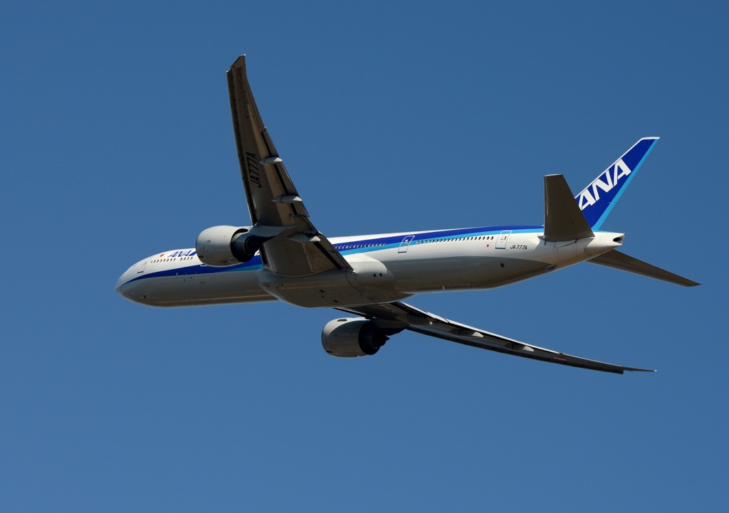 ANA 777-300 