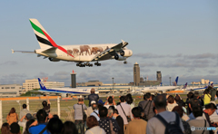 「青空」 Emirates A380-861 動物愛護機と 着陸