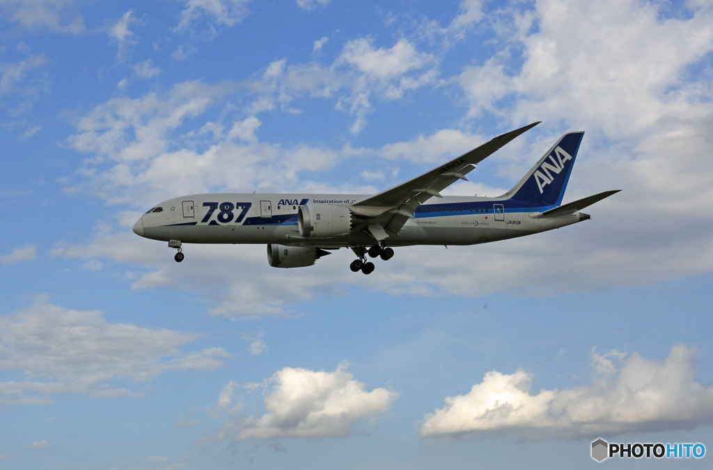 「晴れ」 ANA 787-8 JA813A 到着
