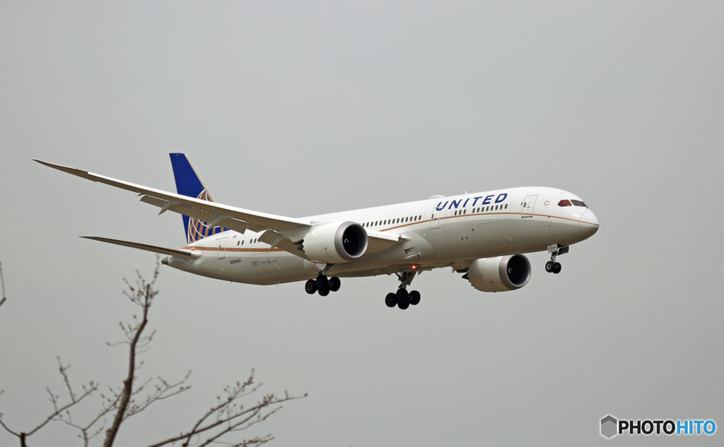 到着 UNITED 787-9 N26960