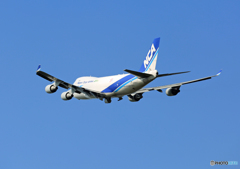 「ぶるー」 NCA 747-400F JA06KZ 飛び立ち 