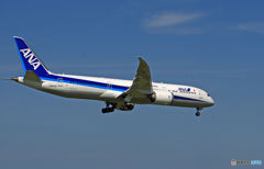 着陸 ANA 787-8 JA875A