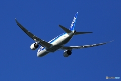 ANA 787-8 JA823A 離陸　