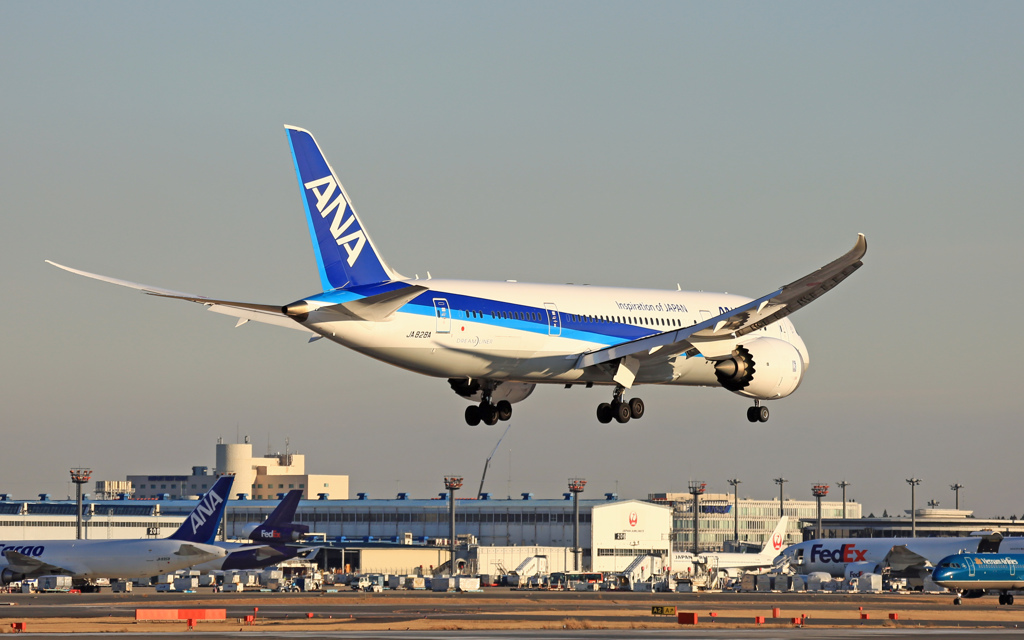 到着 ANA 787-8 JA828A
