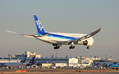 到着 ANA 787-8 JA828A