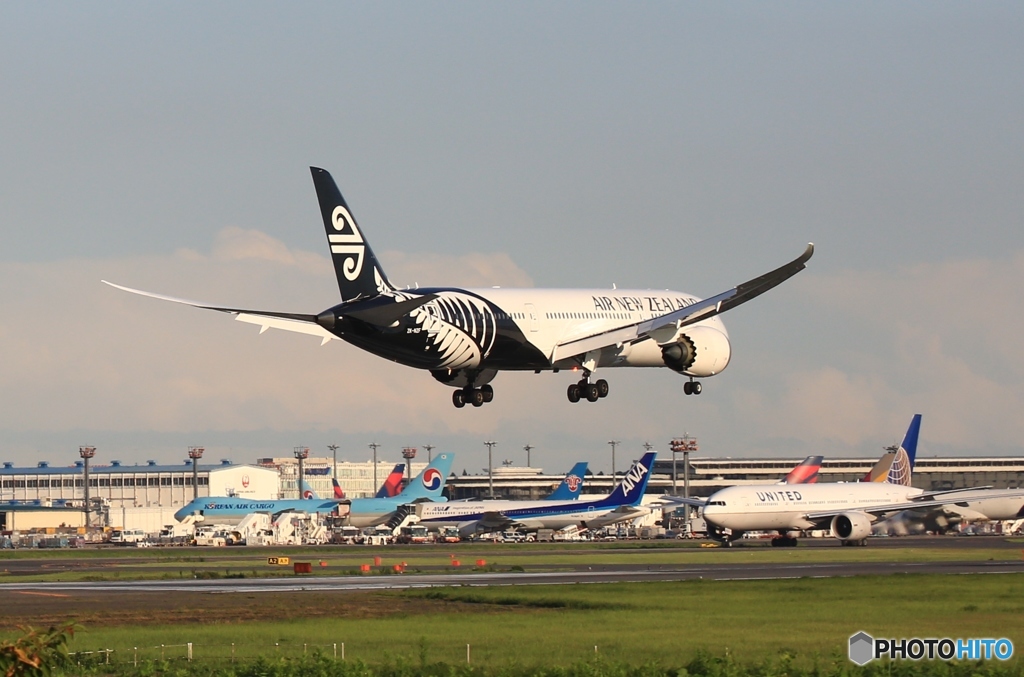 Air New Zealand 787-9 ZK-NZF　