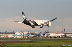 Air New Zealand 787-9 ZK-NZF　