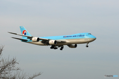 「すかい」 KOREAN Cargo 747-8 HL7617 Landing