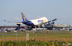 着陸 ATLAS 747-400FN499MC