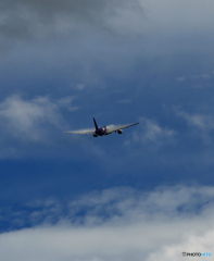 飛行 Thai 777-2D2 HS-TJR