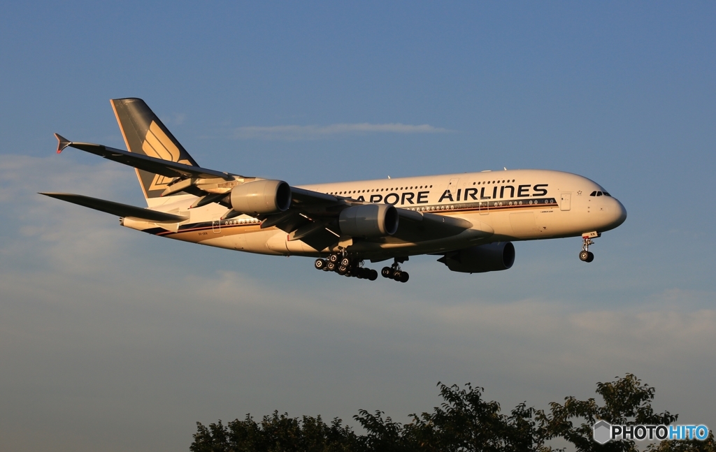 Singapore A380-841 着陸　
