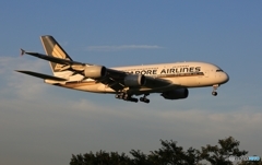 Singapore A380-841 着陸　