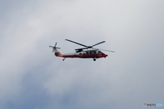 UH-60Jですか？   海上自衛隊　成田空港に着陸!