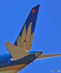 ✈Vietnam B787-9　✈尾翼