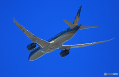 最近のvietnam B787-9 VN-A863