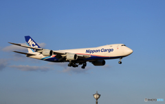 「すかい」NCA 747-8KZF JA13KZジャンボ保存委員会