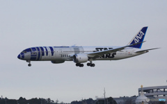 ANA 787-9 スターウオーズ [R2-D2]  JA873A