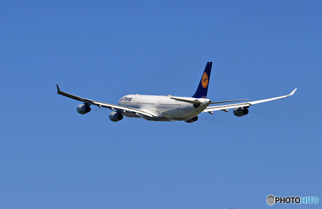 　[青い空]Lufthansa A340-313 D-AIFD離陸