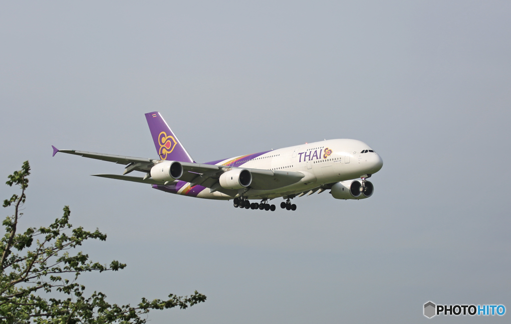 着陸 THAI A380-841 HS-TUE