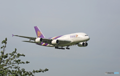着陸 THAI A380-841 HS-TUE