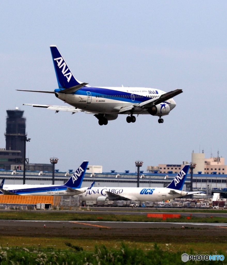 到着　ANA 737-500
