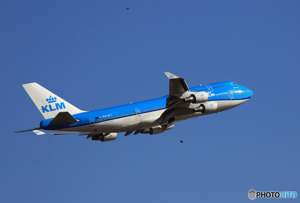 鳥も!　KLM 747-400 PH-PFT飛び立ち　