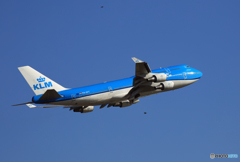 鳥も!　KLM 747-400 PH-PFT飛び立ち　