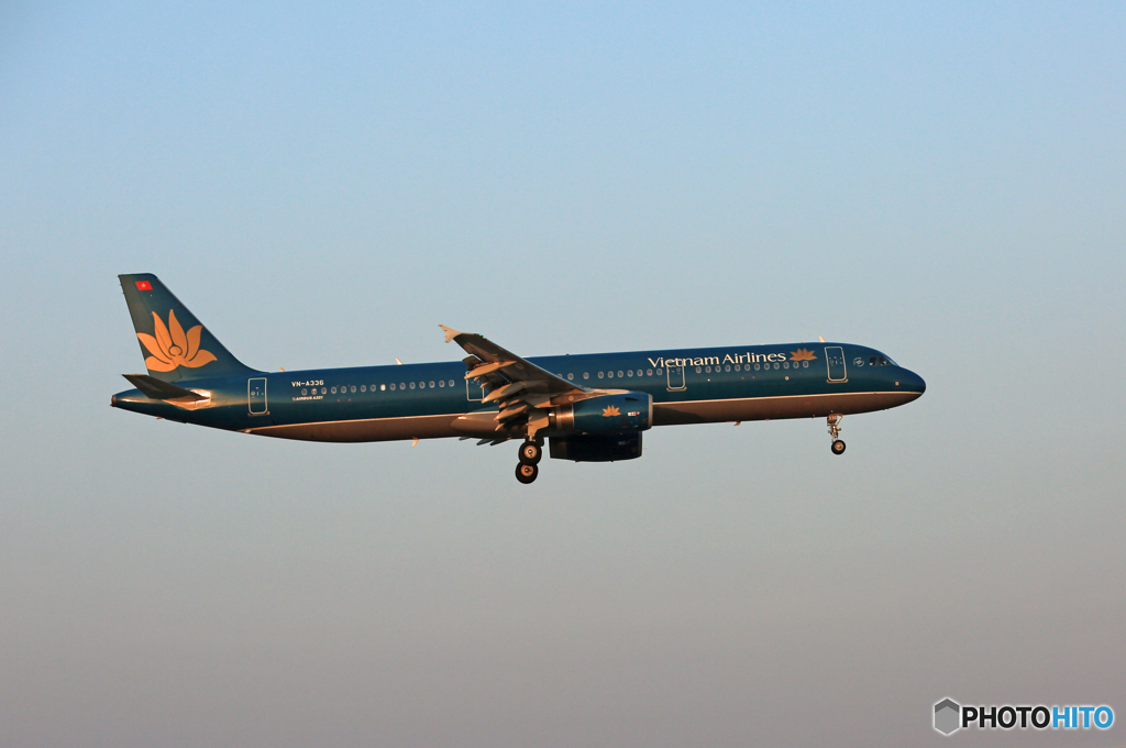 ☀　Vietnam A321-231 VN-A336 着陸