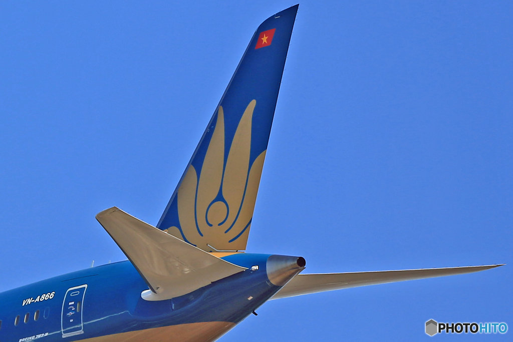 「蓮の花」 Vietnam Airlines・ 尾翼