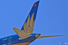 「蓮の花」 Vietnam Airlines・ 尾翼