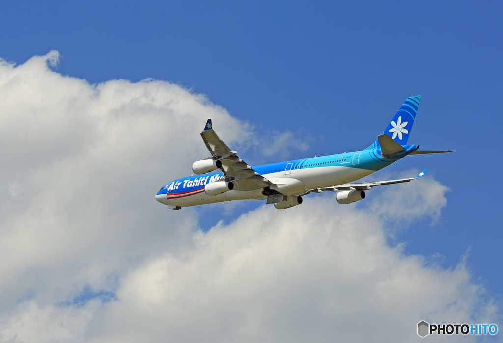 「青空」 Air Tahiti Nui A340-313 F-OLOV 飛び立ち