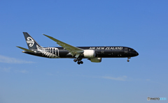Air New ZealandAll BlackB787-9 ZK-NZE　