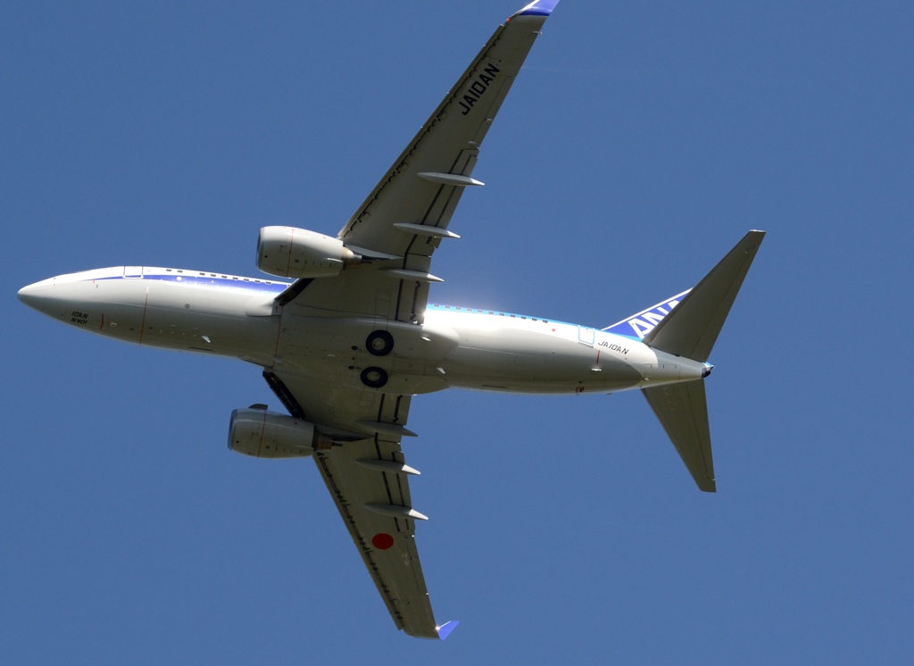 ANA 737-781