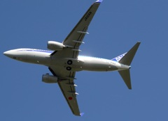 ANA 737-781 ANA 737-781
