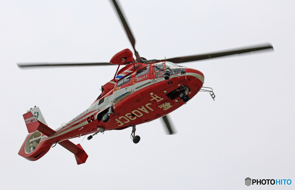 千葉市消防航空隊Eurocopter AS365「おおとり１」JA03CF