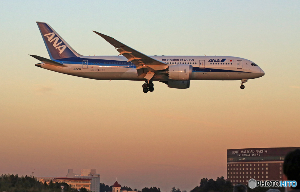 ANA 787-8 JA829A 着陸 