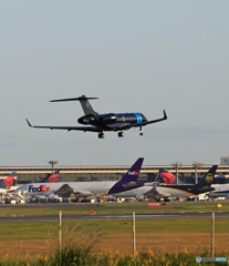 到着Global Express/5000/6000 N2020Q