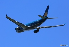 vietnam A330-223 VN-A372 飛び立ち　